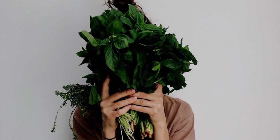 Is fibre good for dogs?