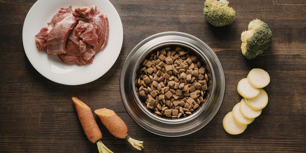 5 Easy Kibble Toppers