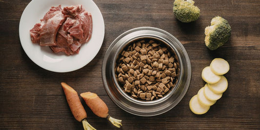 5 Easy Kibble Toppers