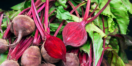 Beetroot for dogs