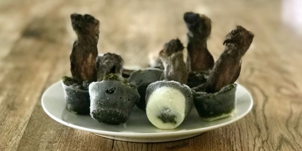 Frozen dog treat recipe