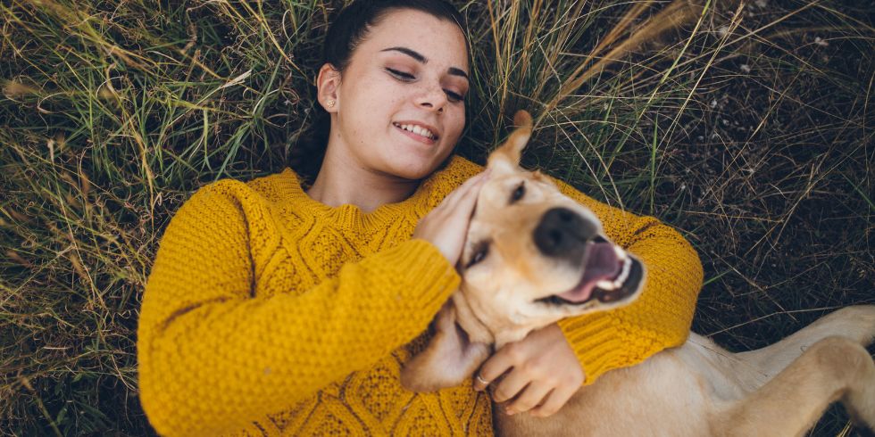 Four Questions Every Dog Parent Should Ask Before Switching Foods