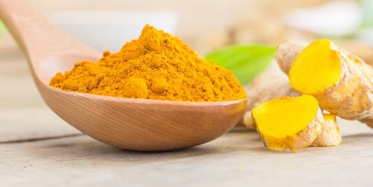 Turmeric for Dogs:  The Health Benefits