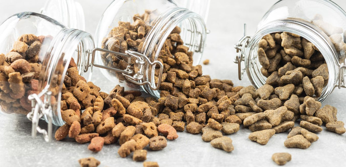 Mouse Kibble 7 Kibble Feeding Mistakes (and what you should do instead) Guide ...