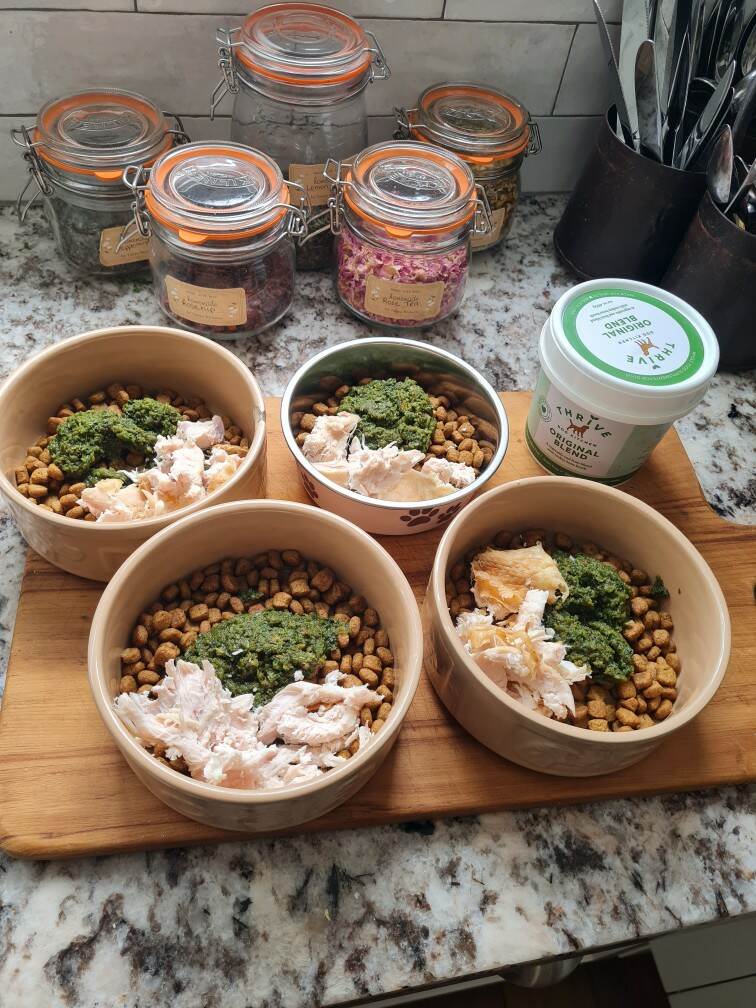 Fresh Food Meals for Dogs