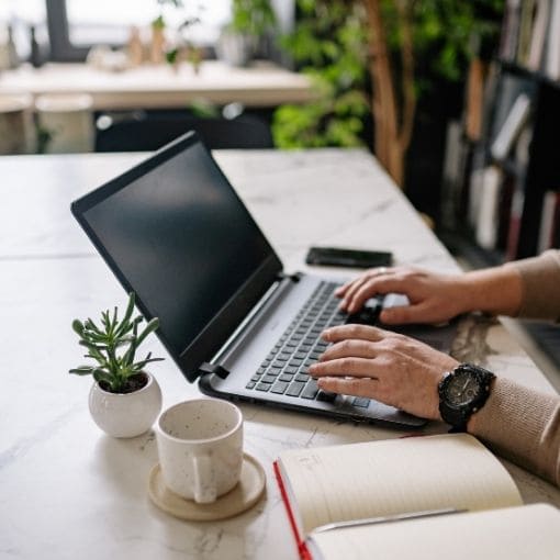 Person using a laptop on a desk with a cup, plant, and notebook.